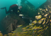 PSAI Advanced Wreck Penetration Course - Technical Diving