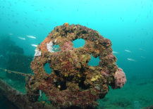 PSAI Advanced Wreck Penetration Course - Technical Diving