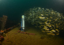 PSAI Advanced Wreck Penetration Course - Technical Diving
