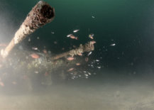 PSAI Advanced Wreck Penetration Course - Technical Diving